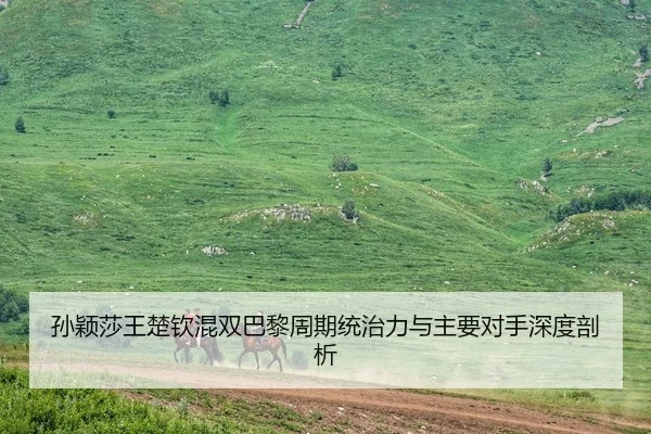 孙颖莎王楚钦混双巴黎周期统治力与主要对手深度剖析